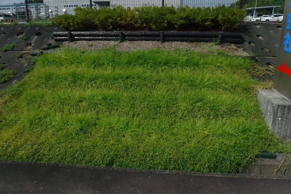 津山市 イジゲンシートの施工の画像